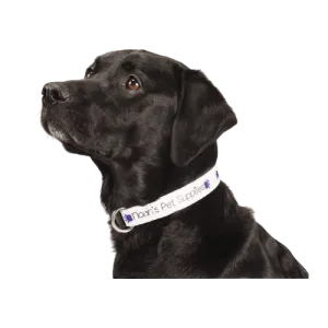 Adjustable Pet Collar