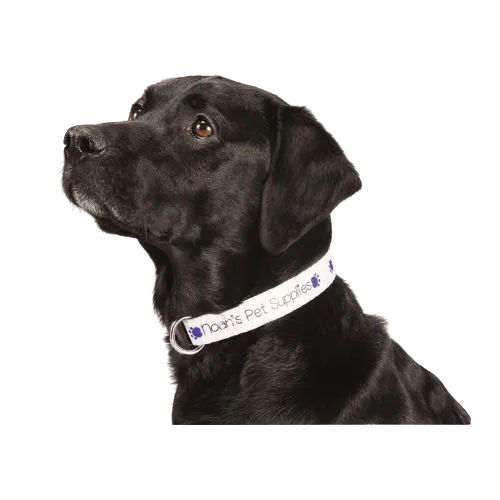 Adjustable Pet Collar