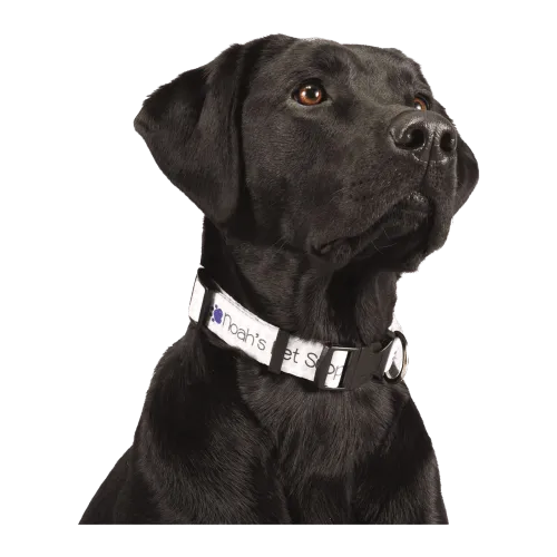 Adjustable Pet Collar