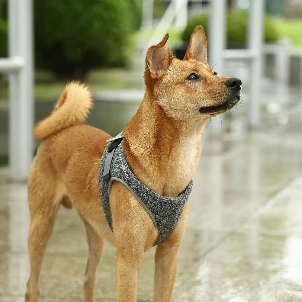 Air Pro Dog Harness | PetPals®