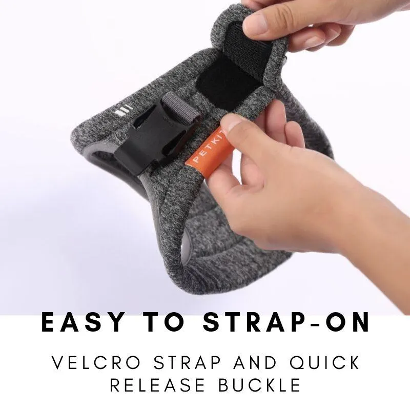 Air Pro Dog Harness | PetPals®