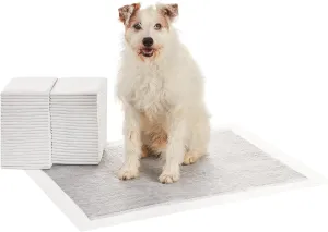 Amazon Basics Dog and Puppy Pee Pads with 5-Layer Leak-Proof Design and Super Absorbent Surface for Potty Training, Odor-Control Carbon, XL Size, 28 x 34 Inch - Pack of 50, Gray