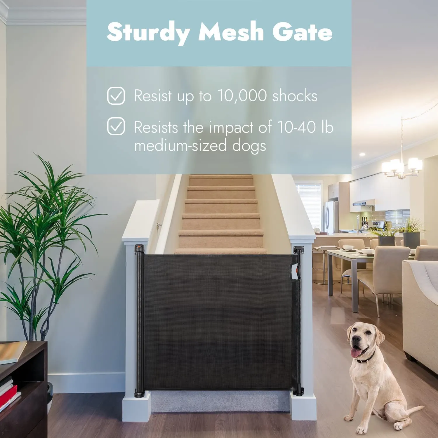 Baybee Retractable Mesh Baby Safety Gate for Kids, Baby Fence Barrier Pet Gate Expandable Upto 140Cm (Black)