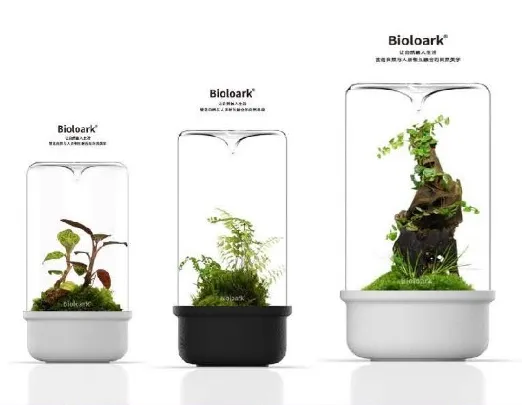 BIOLOARK LED Glass Bio Bottle MH Series