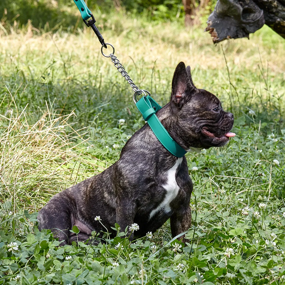 Biothane Adjustable Martingale Collar