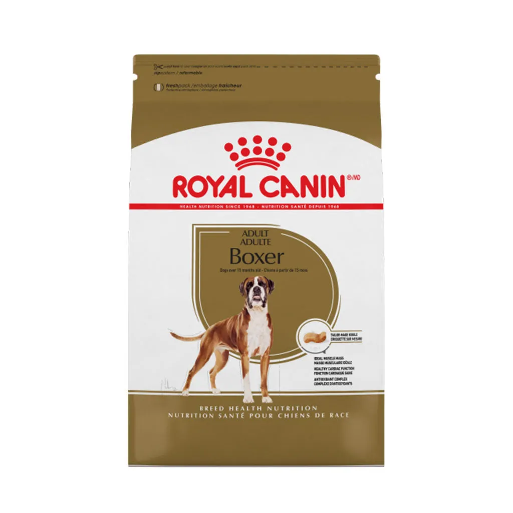 Boxer Adult