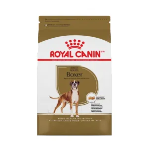 Boxer Adult