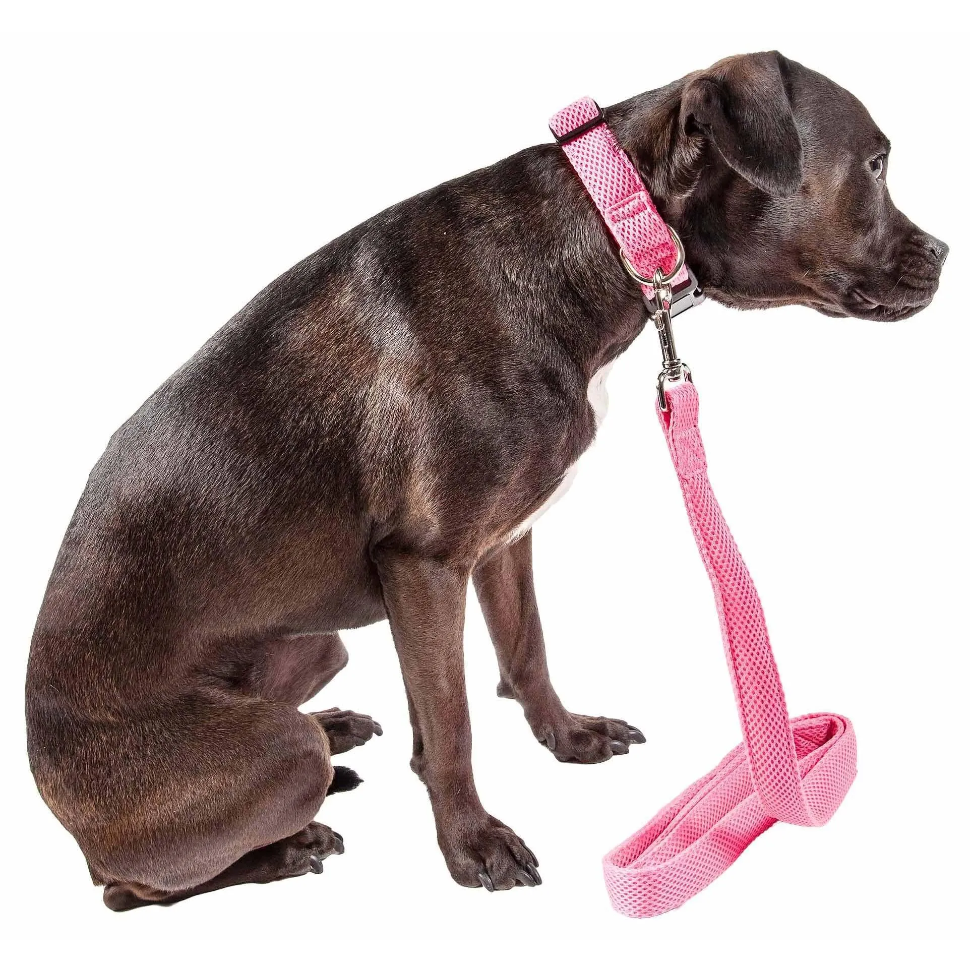 Breathable adjustable dog leash-colla Straps