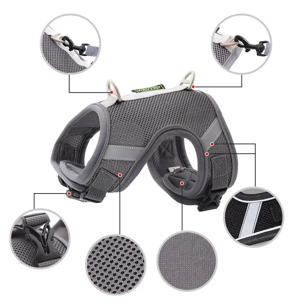 Breathable Dog Pet Harness & Lead