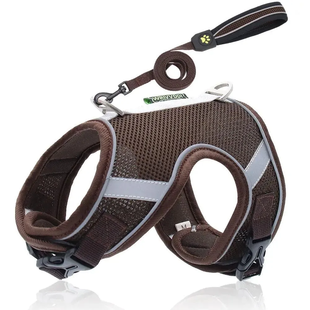 Breathable Dog Pet Harness & Lead