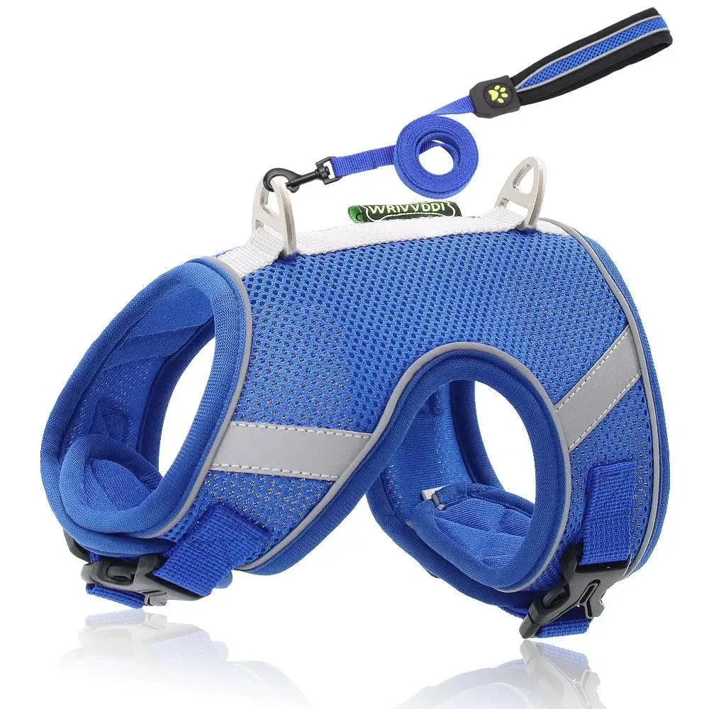Breathable Dog Pet Harness & Lead