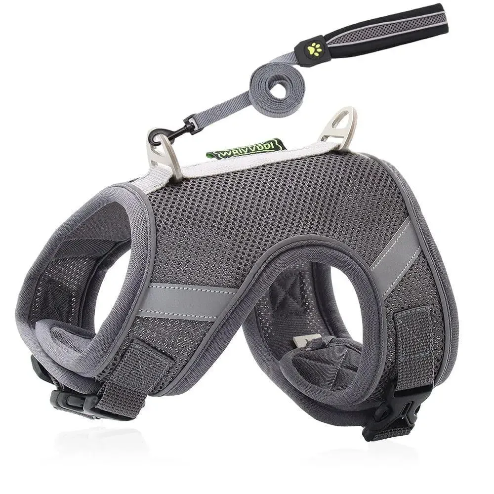 Breathable Dog Pet Harness & Lead