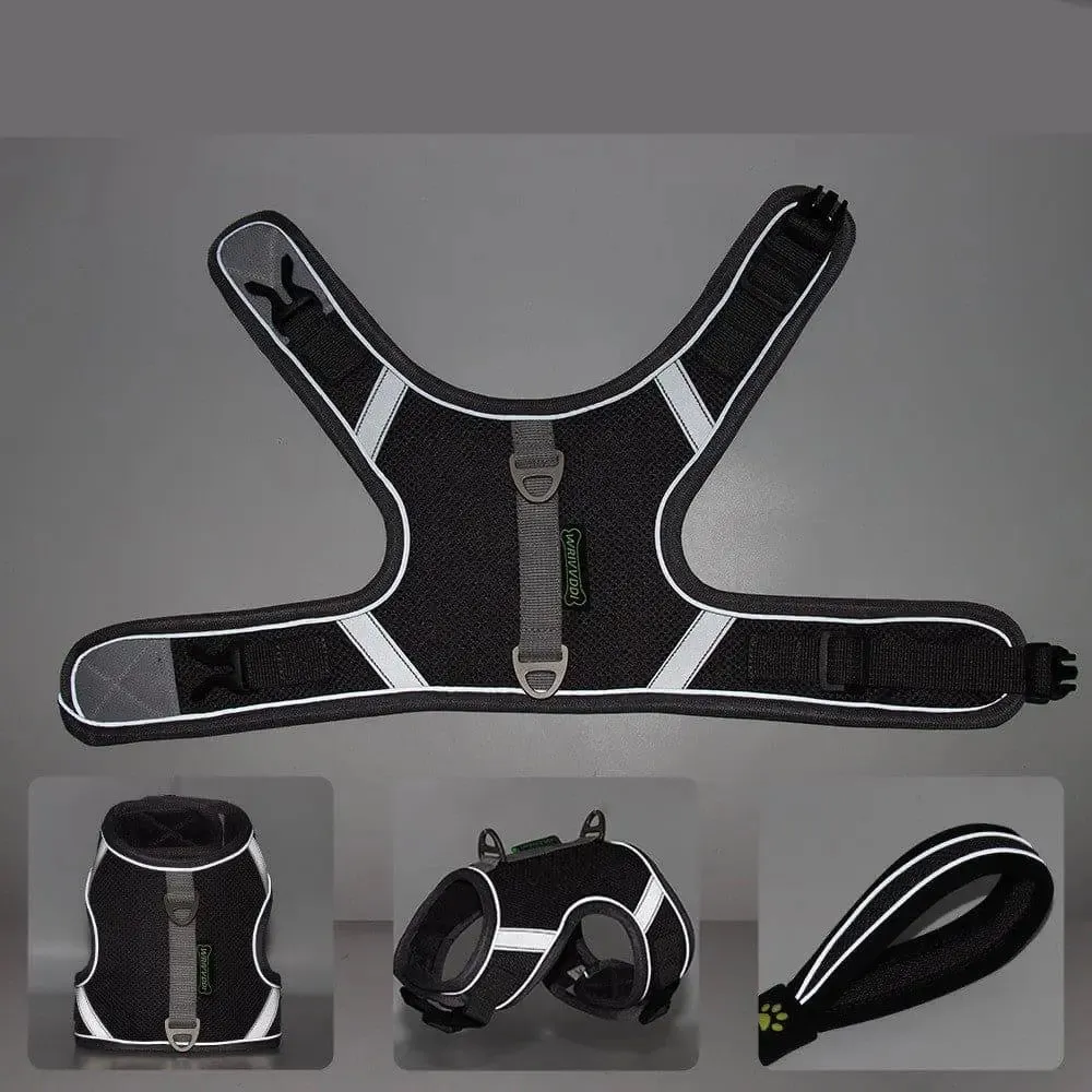 Breathable Dog Pet Harness & Lead