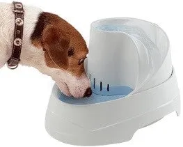 CAT FOUNTAIN VEGA