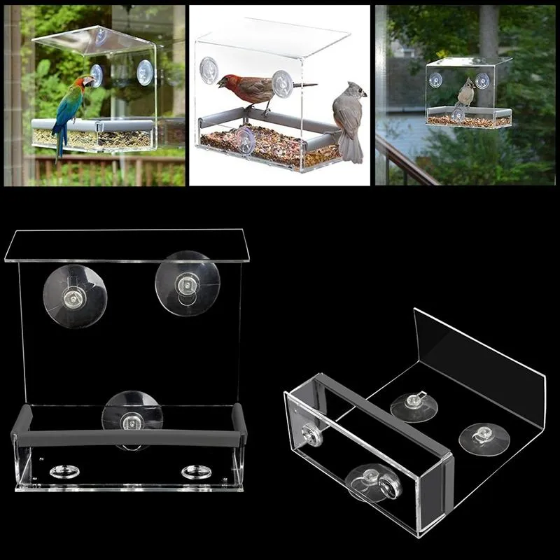 Clear Bird Feeder
