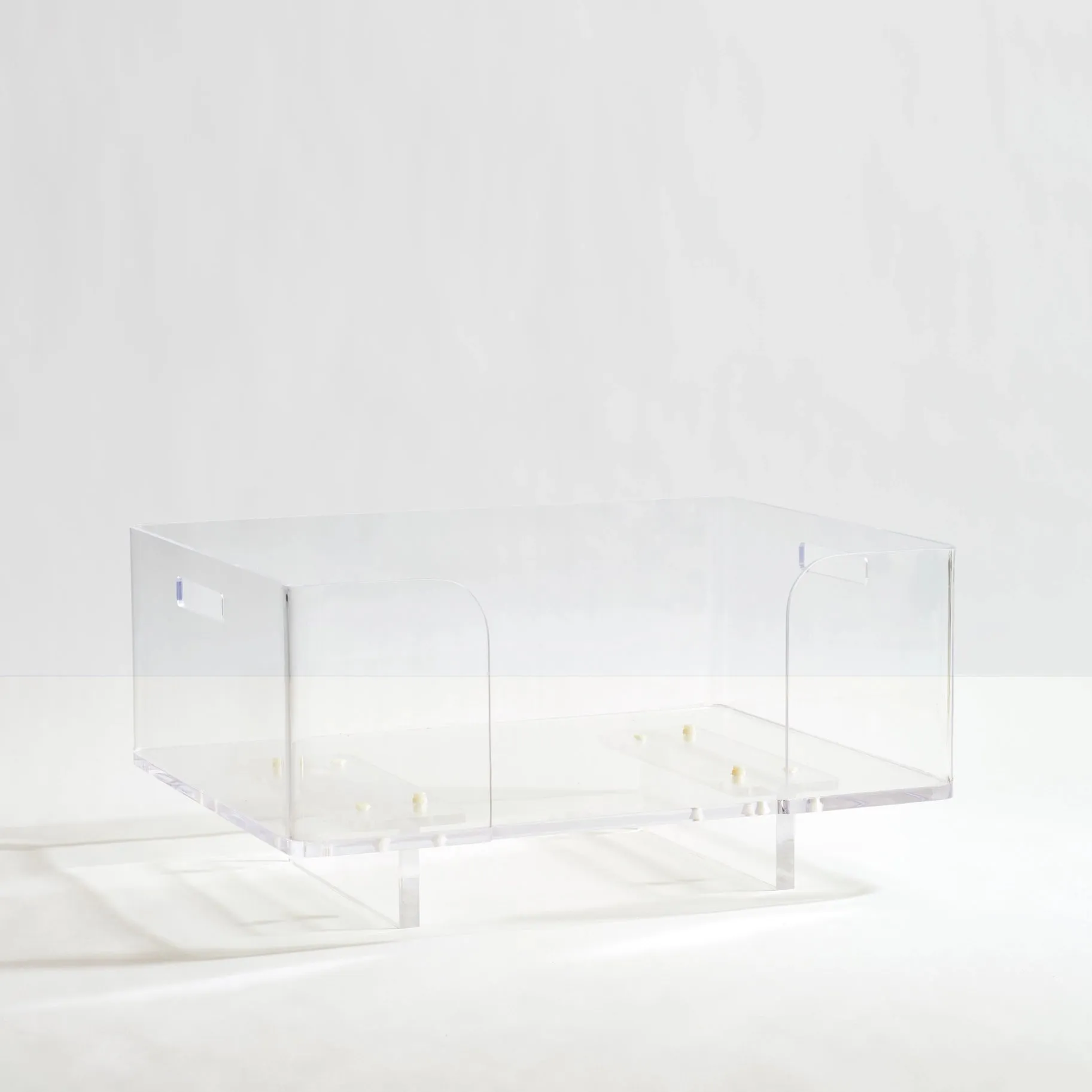 Clear Pet Bed