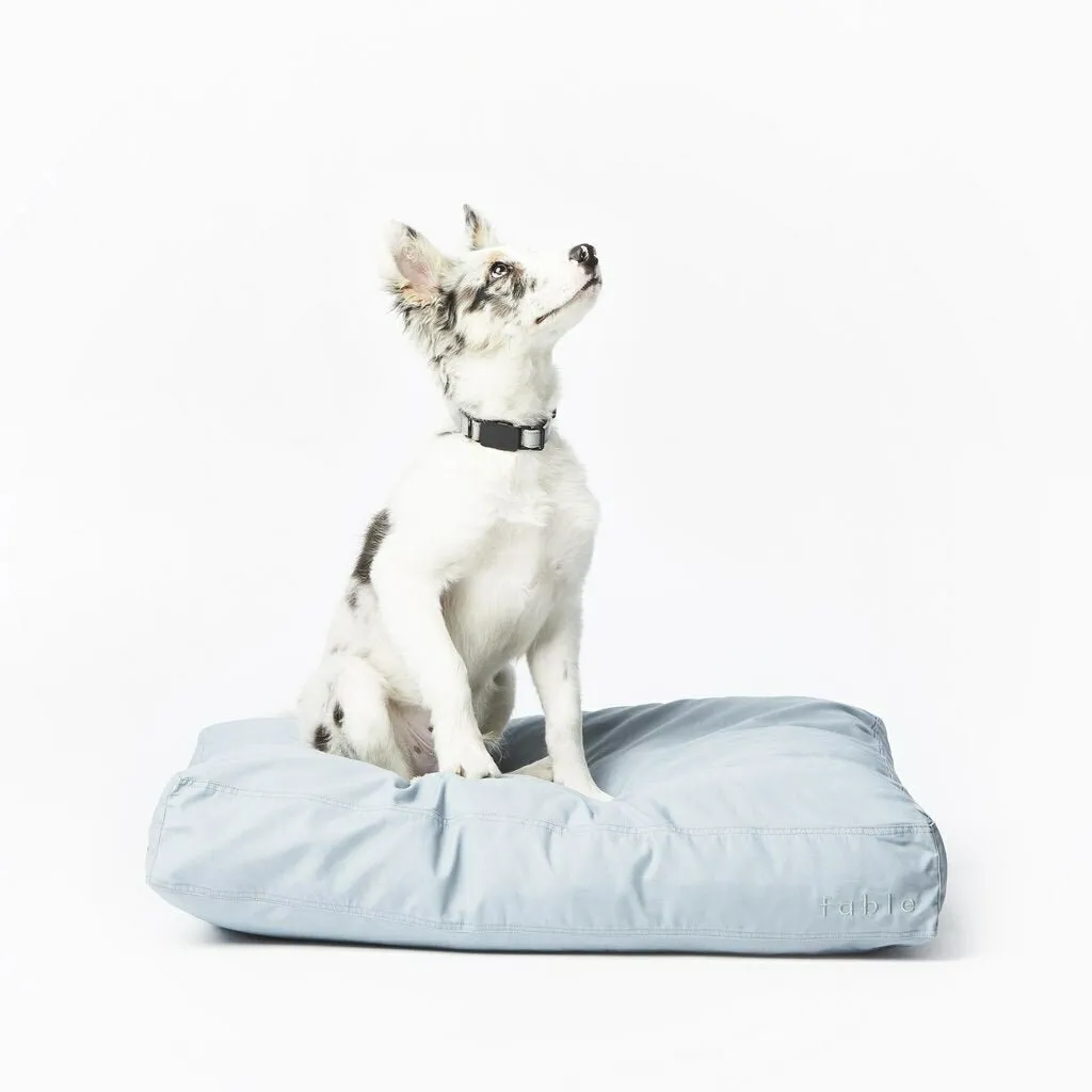 Clear Pet Bed