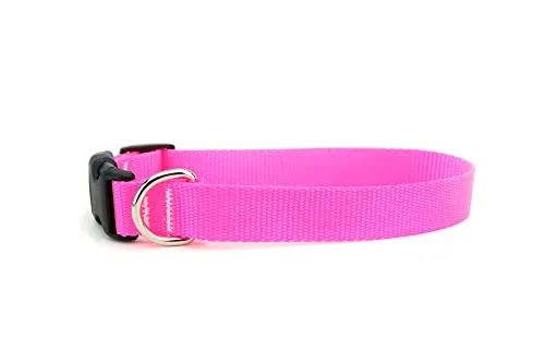 Delicate Dog Collar for Medium & Large Breeds