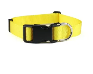 Delicate Dog Collar for Medium & Large Breeds