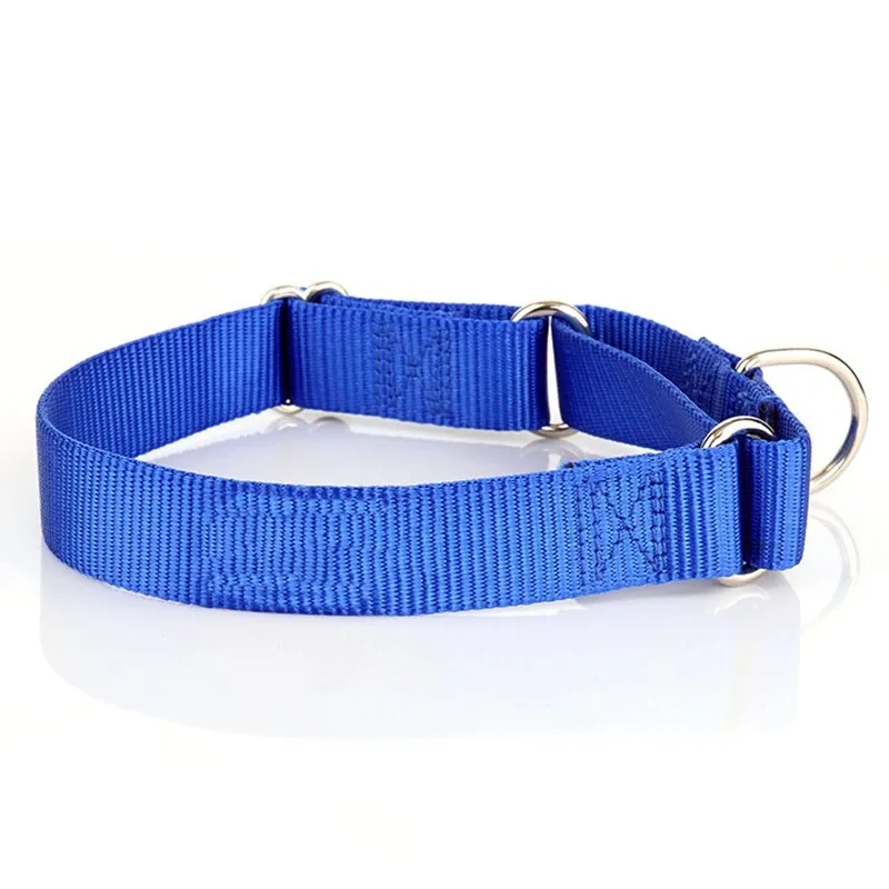 Delicate Dog Collar for Medium & Large Breeds