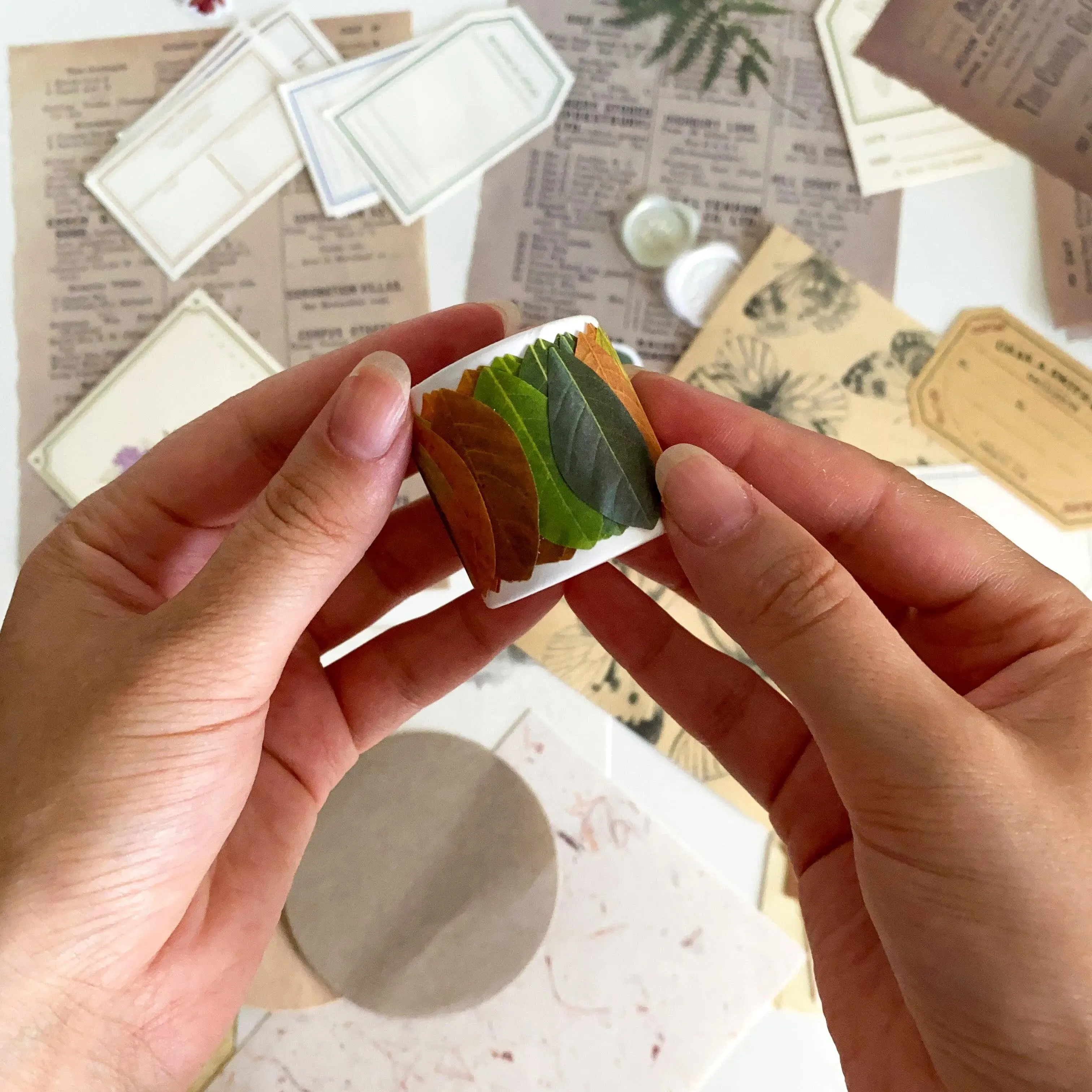 DIY Phone Case Autumn Box - Personalize Your Phone
