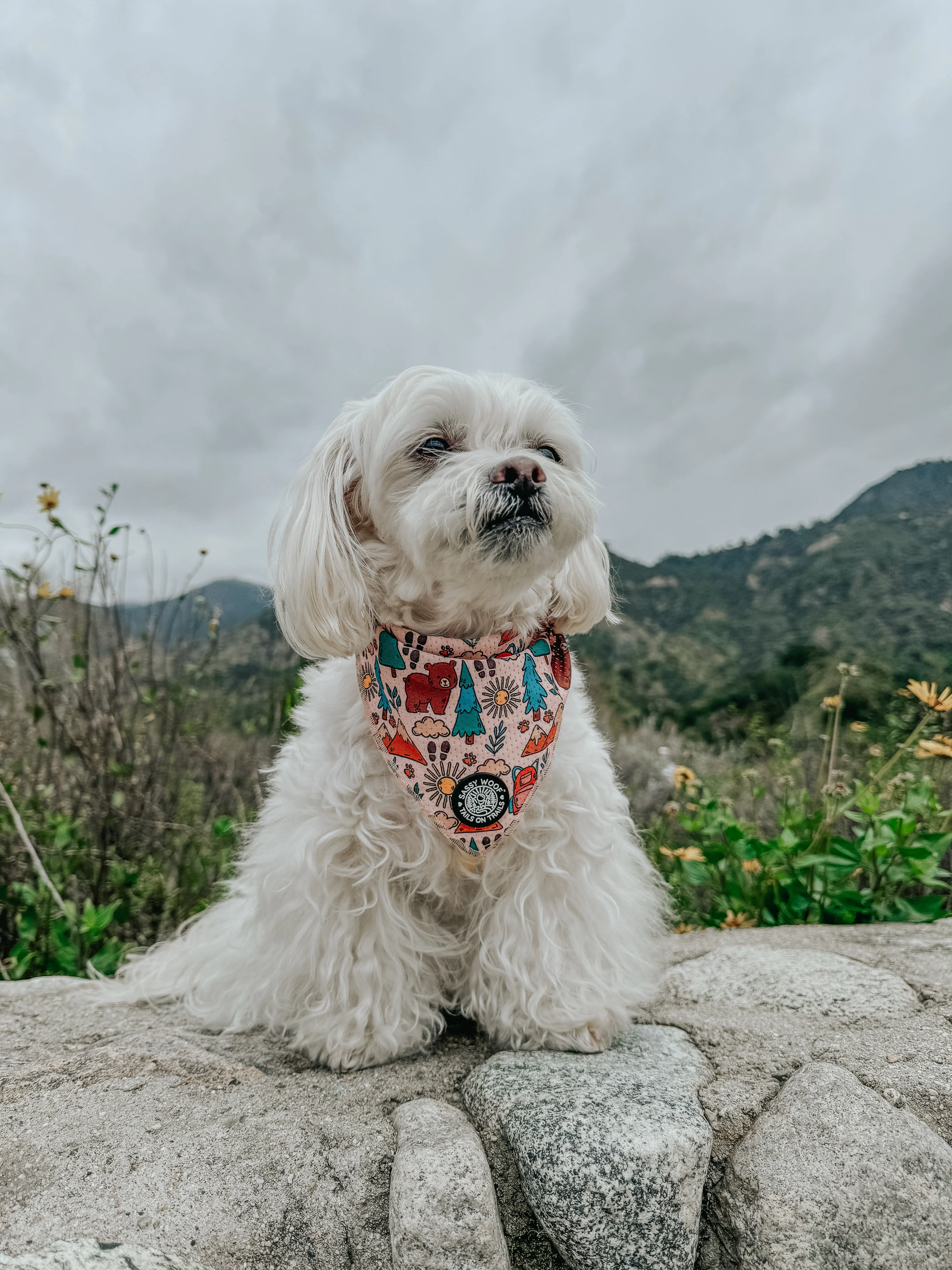 Dog Bandana - National Bark