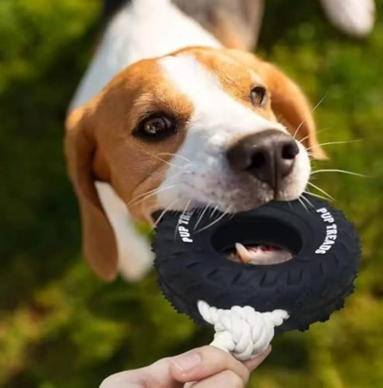 Durable Food Dispensing Teeth Cleaning Dog Chew Toy For Large Aggressive Chewers