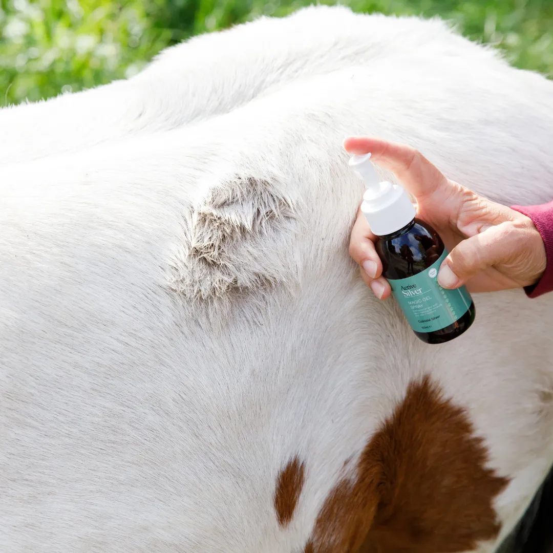 Essential Animal Care Kit