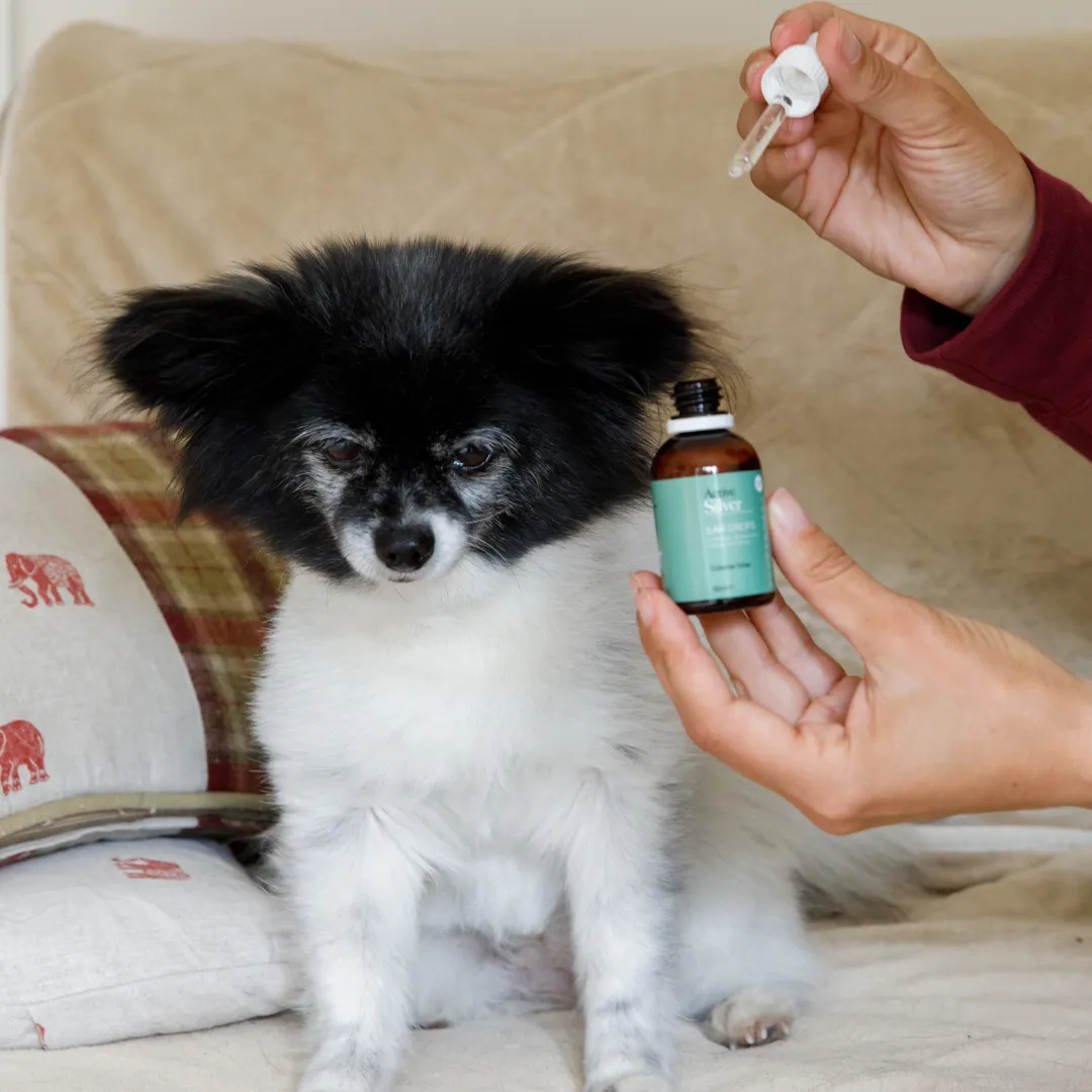 Essential Animal Care Kit