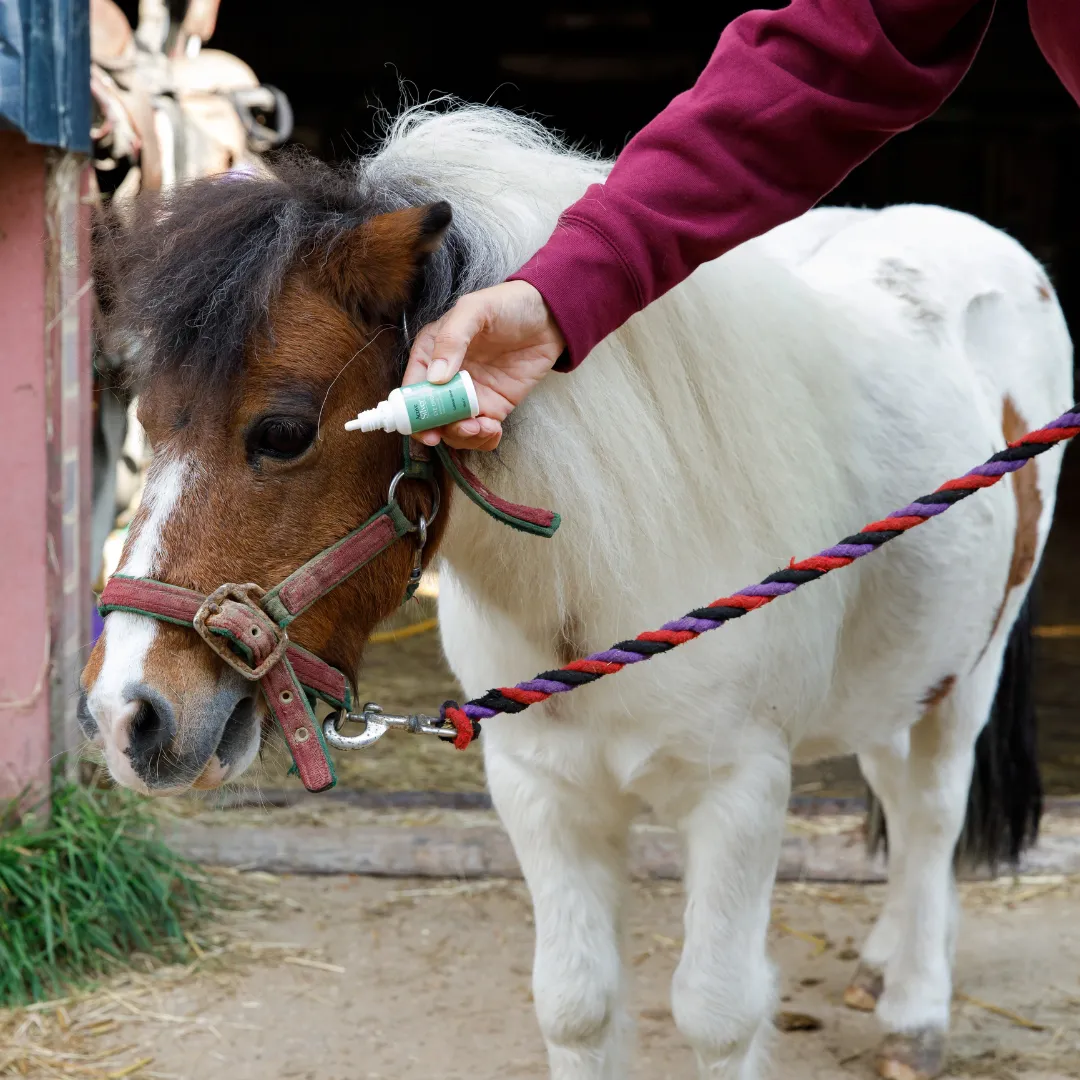 Essential Animal Care Kit