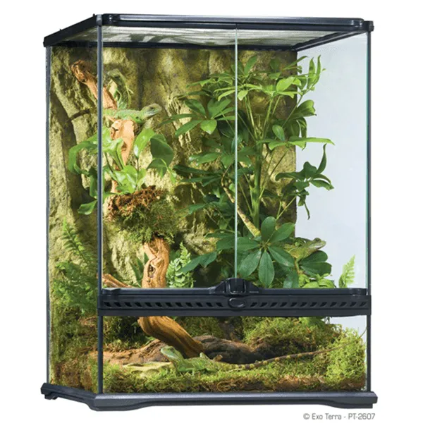 Exo Terra Small Tall Terrarium - 18" x 18" x 24"
