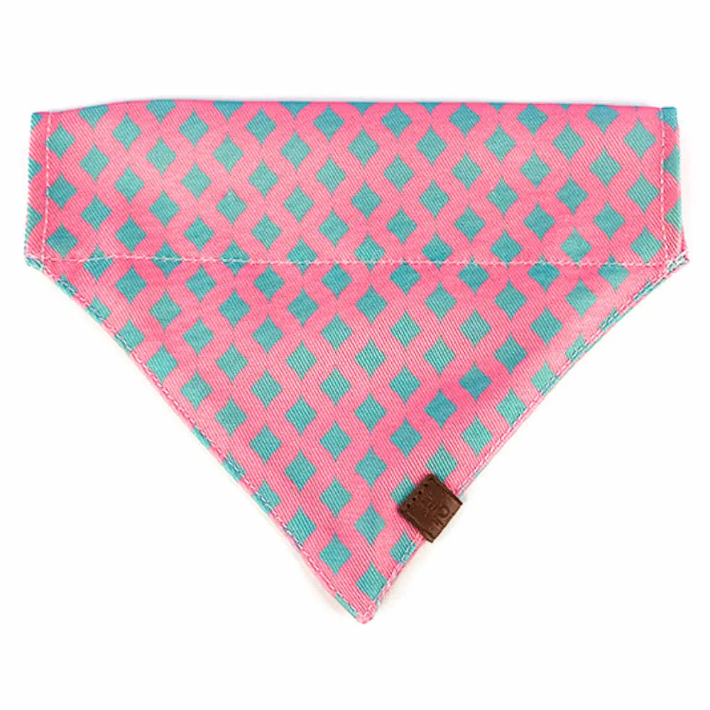 Hidream Profusion Dog & Cat Bandana (Bobby)