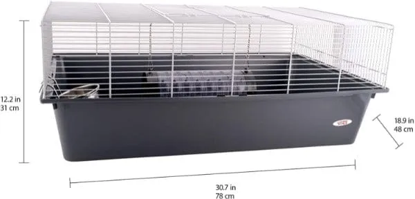Living World Rat Starter Kit
