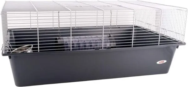 Living World Rat Starter Kit