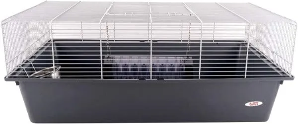 Living World Rat Starter Kit