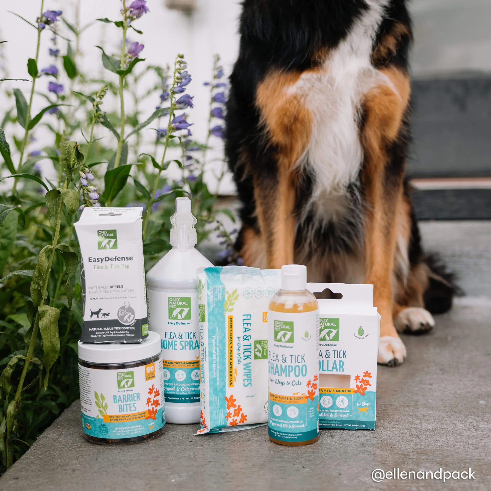 Only Natural Pet Flea & Tick Complete Protection Kit for Dogs