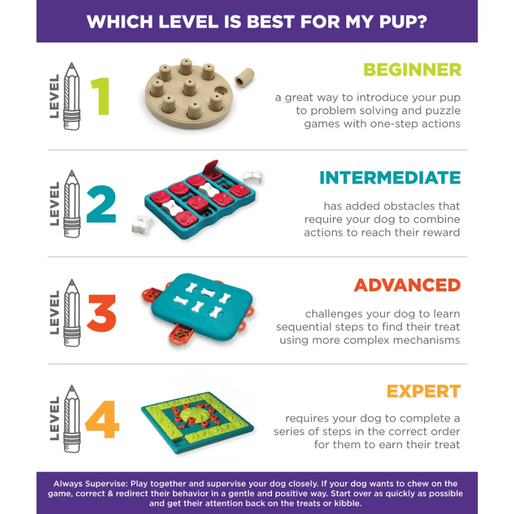 Outward Hound Nina Ottosson Slide N Feed Strategy Game Toy for Dogs (Level 1 Beginner)