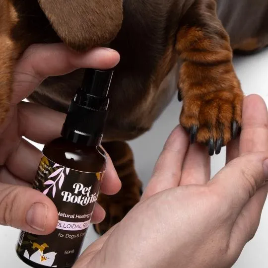 Pet Botanica Colloidal Silver Natural Healing Mist for Dogs 50ml