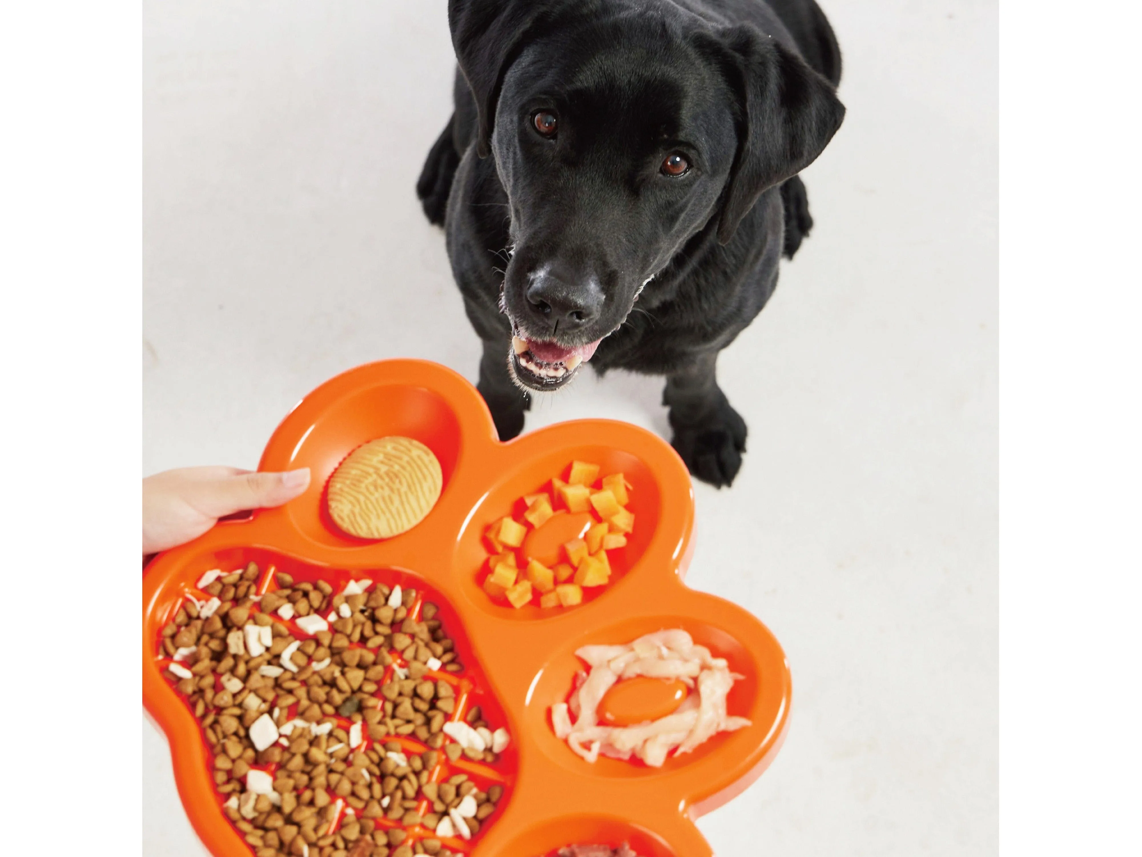 PetDreamHouse PAW Slow Feeder Orange
