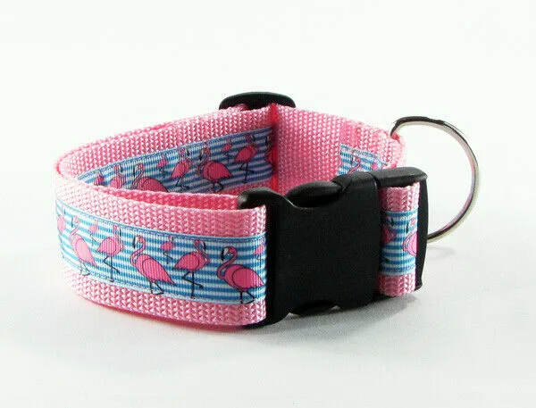 Rainbow Hearts dog collar handmade adjustable buckle collar 1" wide leash Petcollarshandmade