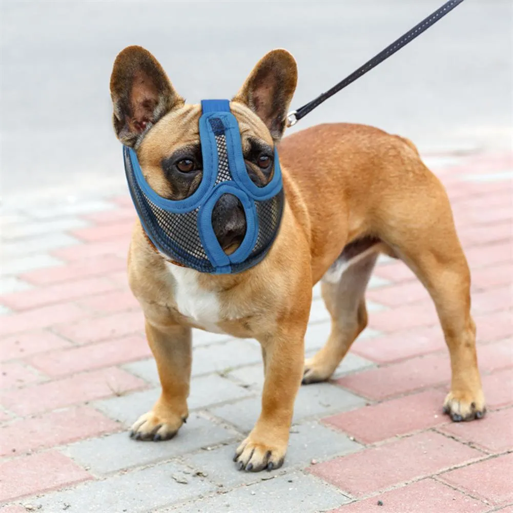Revolutionary Frenchie Muzzle - Effective Anti-Bite Mouthpiece