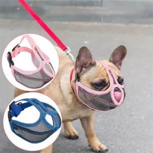 Revolutionary Frenchie Muzzle - Effective Anti-Bite Mouthpiece