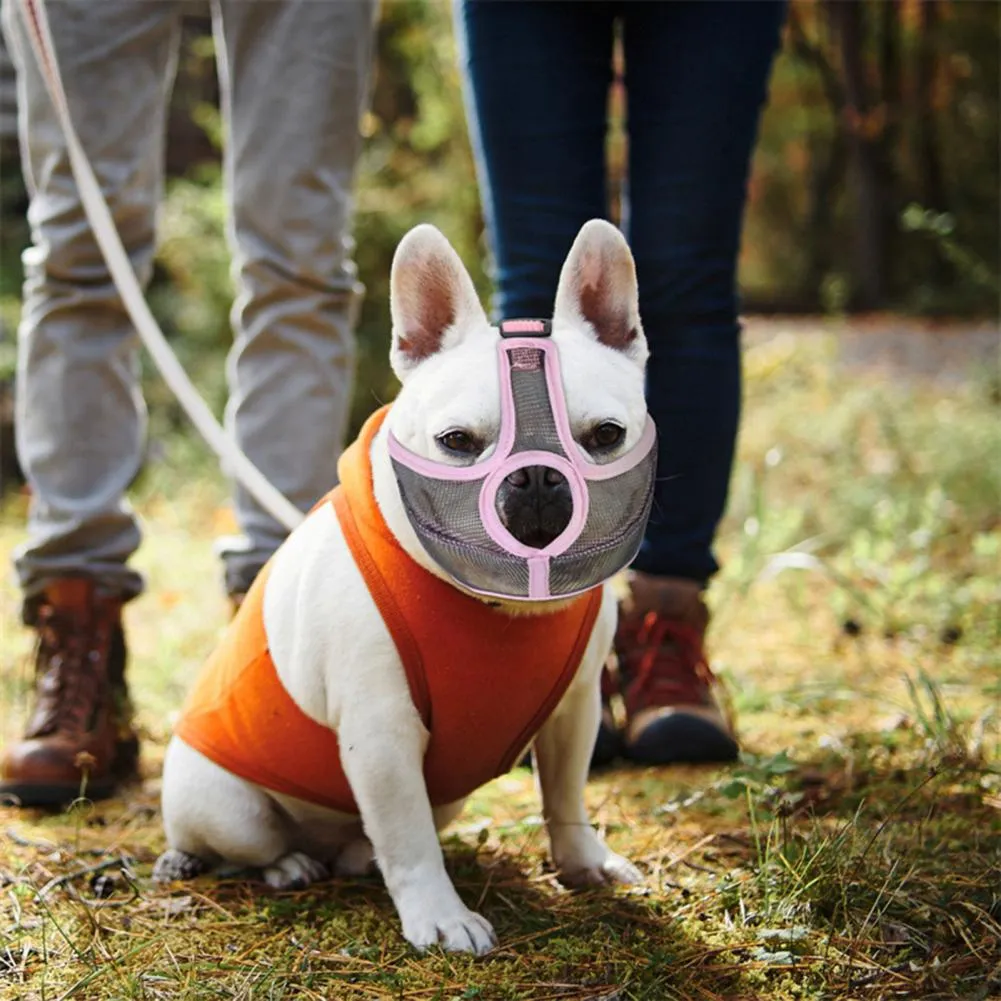 Revolutionary Frenchie Muzzle - Effective Anti-Bite Mouthpiece