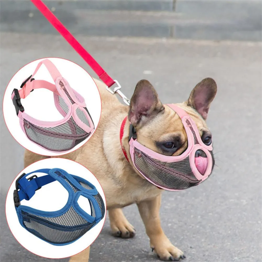 Revolutionary Frenchie Muzzle - Effective Anti-Bite Mouthpiece