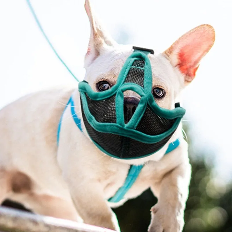 Safe Short Snout Dog Muzzles Adjustable Mask Outdoor Anti Stop Barking Breathable Mesh Muzzle For Pet French Bulldog Pug Pekingese