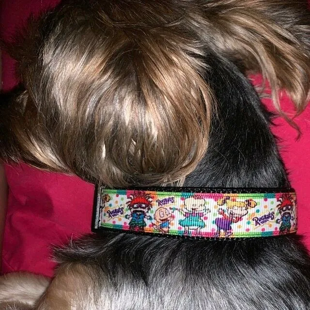 Sesame Street Dog collar handmade adjustable buckle 5/8" wide or leash Petcollarshandmade