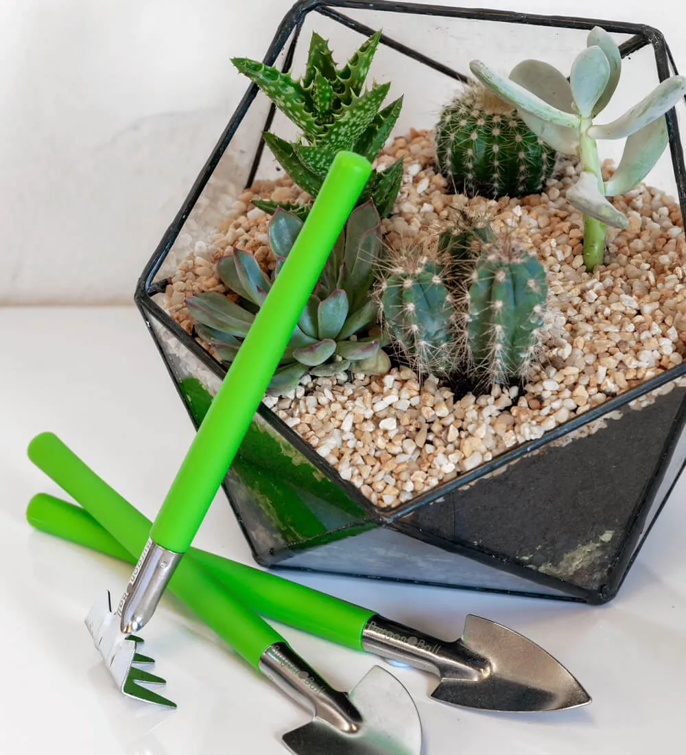 Terrarium Tool Kit