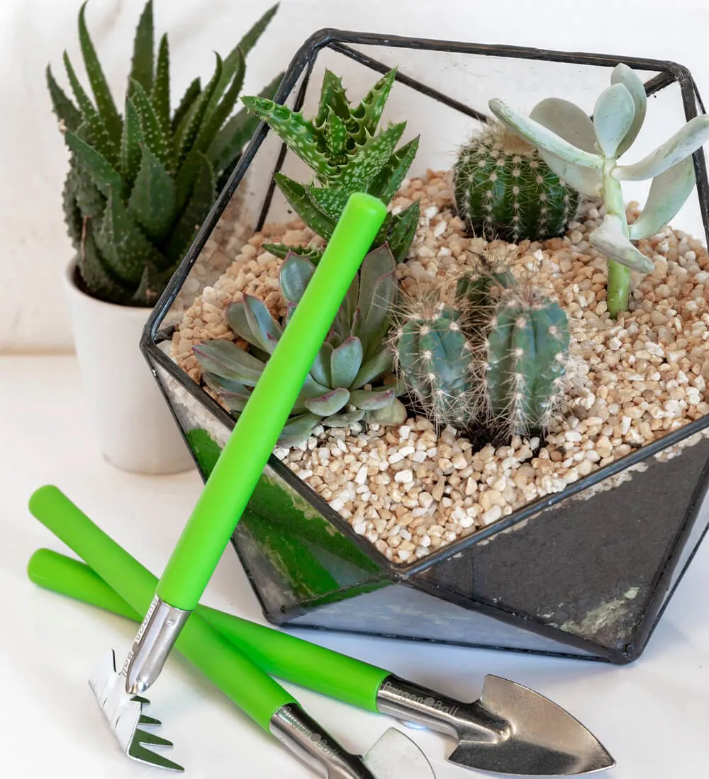 Terrarium Tool Kit