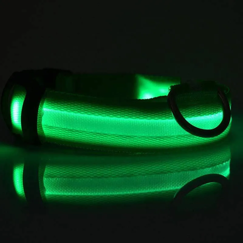 USB Rechargeable LED Pet Collar – Keep Your Pet Safe and Stylish at Night!
