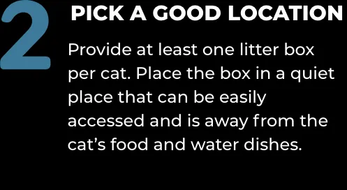 World's Best Multiple Cat Lotus Blossom Scent Cat Litter